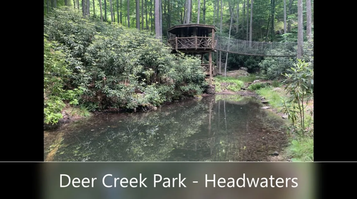 A tranquil lakeside scene featuring a rustic treehouse perched above calm water, surrounded by dense forest and lush greenery. The peaceful setting suggests opportunities for canoeing, fishing, and wildlife spotting, making it ideal for family fun and relaxation.